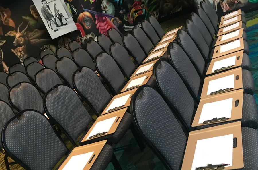 Animation Experience