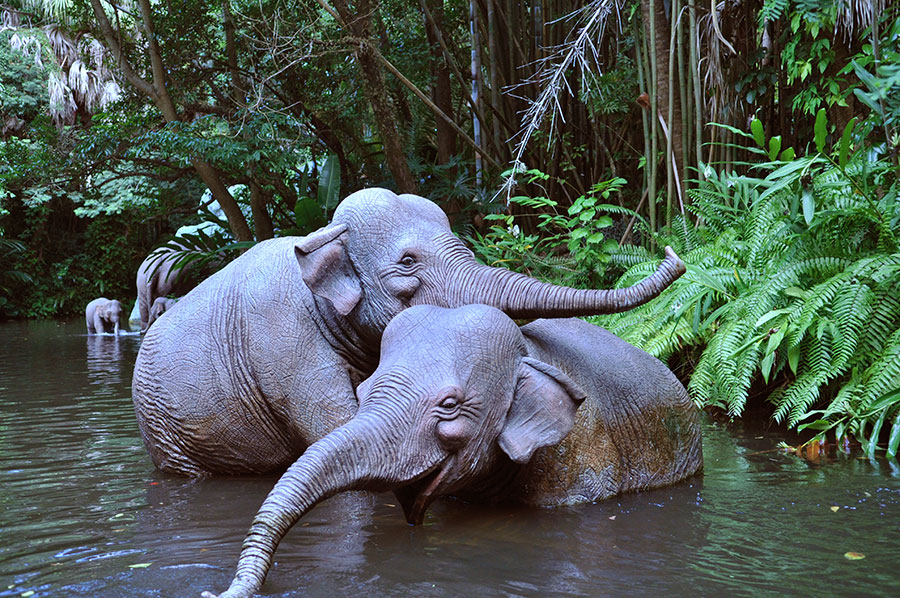 The Jungle Cruise: By the Numbers